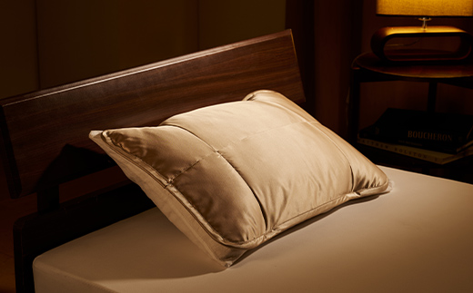 「毎日シルクに包まれて眠りたい」【中わた 富岡産シルク100％】 枕パット シャンパンゴールド シルク 絹 贈り物 ギフト 国産 F21E-456