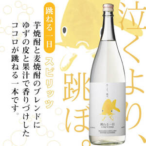＜入金確認後、2週間以内に発送！＞若潮酒造 本格焼酎・スピリッツ＜一日シリーズ＞飲み比べセット 1800ml×4本！ 歩く一日 跳ねる一日 躍る一日 笑う一日 芋焼酎 鹿児島むぎ焼酎 いも焼酎 ハイボ