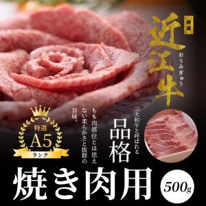 【ふるなび限定】A5ランク特選近江牛　3回定期便  近江牛 特選近江牛 国産牛 牛肉 CY-001T
