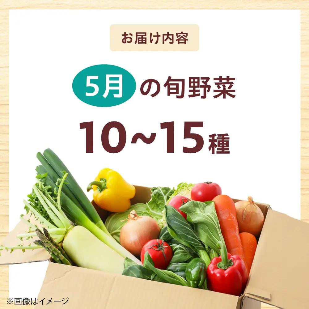 高槻野菜おまかせ詰め合わせセット 5月（10種〜15種）[AOCS011] 野菜セット