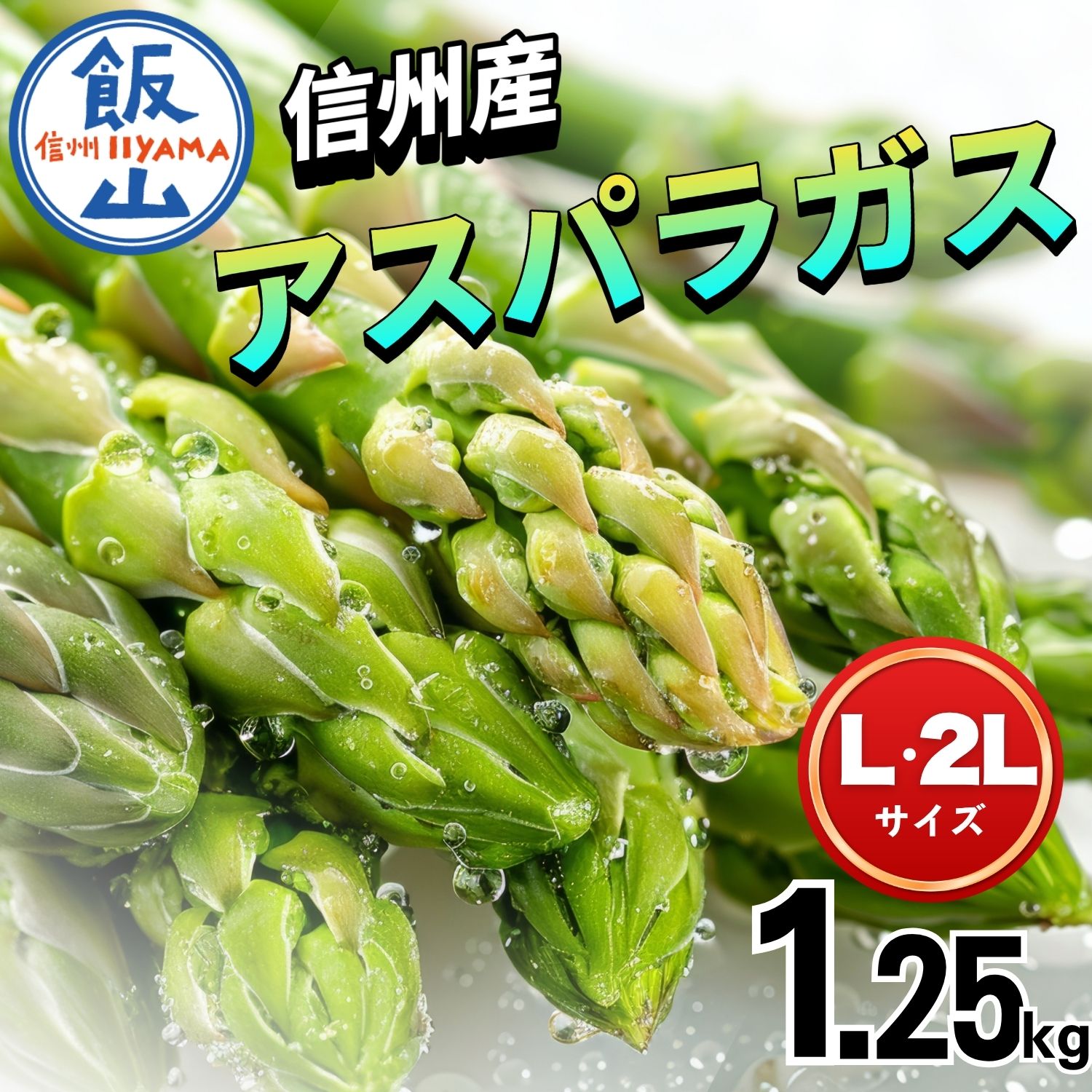 【ふるさと納税】先行予約 ＼ 信州産アスパラガス ／ 1.25kg 《出荷時期：2026年5月下旬〜》【 長野県 飯山市 信州産 おかず 夕食 肉巻き バーベキュー 春アスパラ 露地栽培 野菜 新鮮 農家直送 産地直送 送料無料 旬野菜 おいしい オススメ プレゼント 】（Ae-003)
