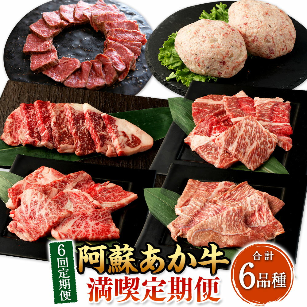 【ふるさと納税】【年6回定期便】阿蘇あか牛満喫定期便 肉 お肉 牛肉 あか牛 モモ カルビ 上ロース サーロイン ハンバーグ ローストビーフ 阿蘇あか牛丼 定期便 定期配送 冷凍 九州 熊本県 送料無料