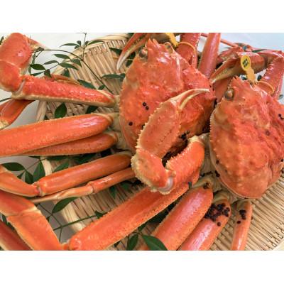 ふるさと納税 美浜町 【2026年11月より順次発送】越前がに　大2杯　獲れたて★茹でたてをその日に発送致します! |  | 01