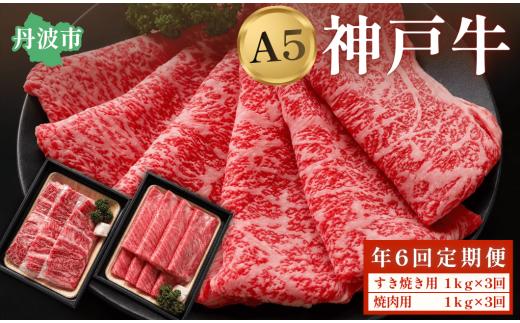 神戸ビーフ A5ランク 定期便 年6回 奇数月お届け 兵庫県丹波市産 黒毛和牛 Iコース ギフト対応 神戸牛 神戸肉