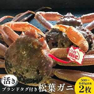 106.【活き】 ブランド タグ付き 松葉ガニ  500～640g前後 2枚 ※2026年11月上旬～2027年3月上旬頃に順次発送予定 | カニ 松葉ガニ タグ付き 蟹