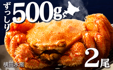 【12月20日決済まで年内発送】☆北海道産 毛ガニ 約500g×2尾 セット かに 蟹 毛蟹 冷凍 北海道産 浜頓別町 北海道ふるさと納税