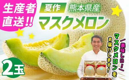 【生産者直送】☆夏作☆ マスクメロン 2玉 合計約3.2kg以上 【2026年7月上旬発送開始】 フルーツ くだもの 果物 メロン めろん 熊本県産