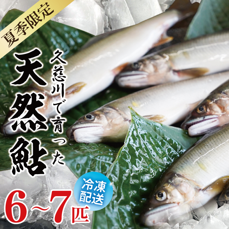 【夏季限定】清流 久慈川 天然鮎 6～7匹｜茨城県 大子町 あゆ 魚 川魚 冷凍（AA001）