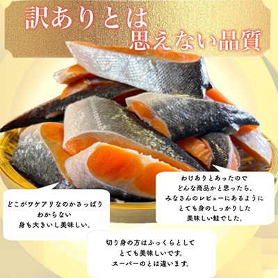 【訳あり】人気の海鮮お礼品 チリ産 定塩 塩銀鮭切り落とし(端材)約3kg【配送不可地域：離島】【1389616】