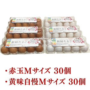 【数量限定】赤玉・黄味自慢 たまご詰め合わせ60個【卵 玉子 タマゴ 新鮮 タンパク質 目玉焼き 茨城県 水戸市】（LB-1）
