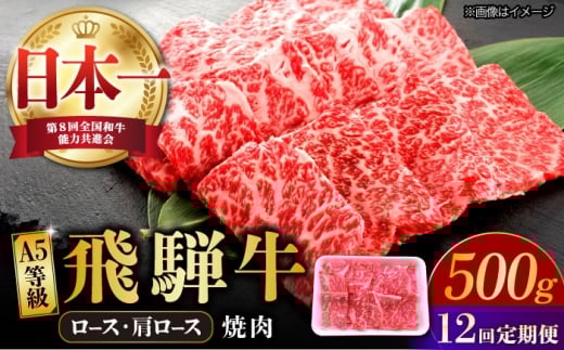 【12回定期便】 飛騨牛 焼肉用 ロース・肩ロース 500g A5等級 和牛 ブランド牛 国産 牛肉 多治見市 / 渡辺精肉店 [TAZ033]