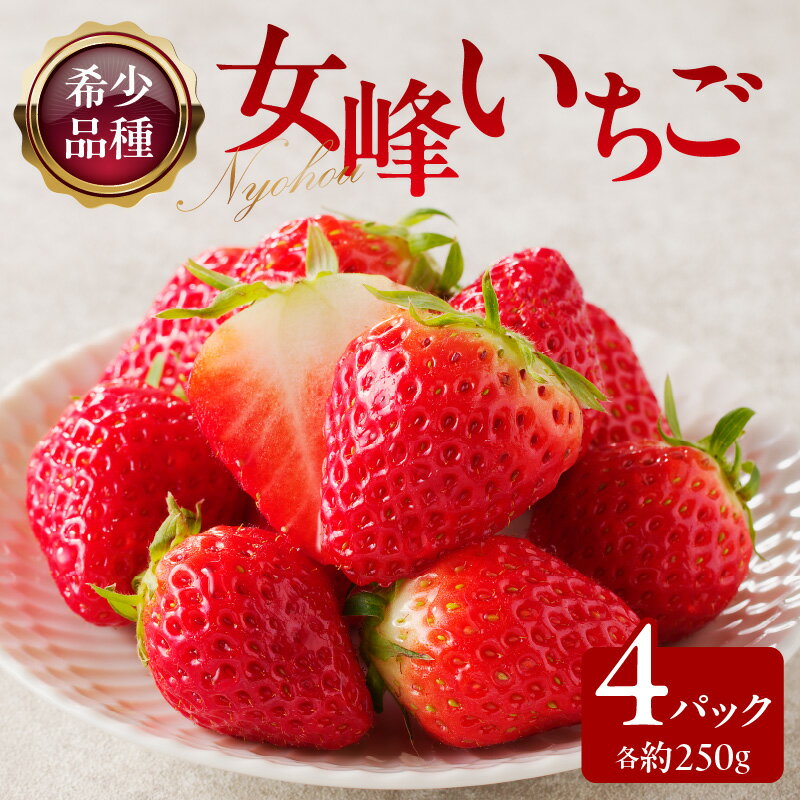 【ふるさと納税】希少品種　女峰いちご4パック(各約250g)【2025年1月中旬～2025年6月上旬配送】 | 希少 希少品種 自宅用 お取り寄せ ケーキ ピューレ ジャム 加工用 果物 フルーツ 野菜 果実的野菜 多汁 高松市産