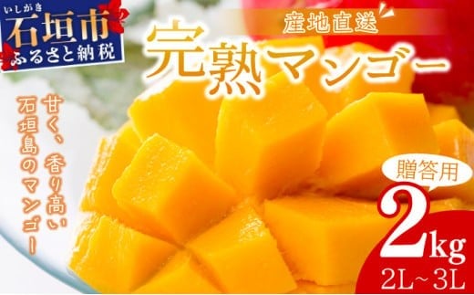 【2026年6月末から順次発送】2L～3L マンゴー3～6玉（約2kg） 【 産地直送 旬 フルーツ 新鮮 完熟 マンゴー 石垣 沖縄 】KP-25