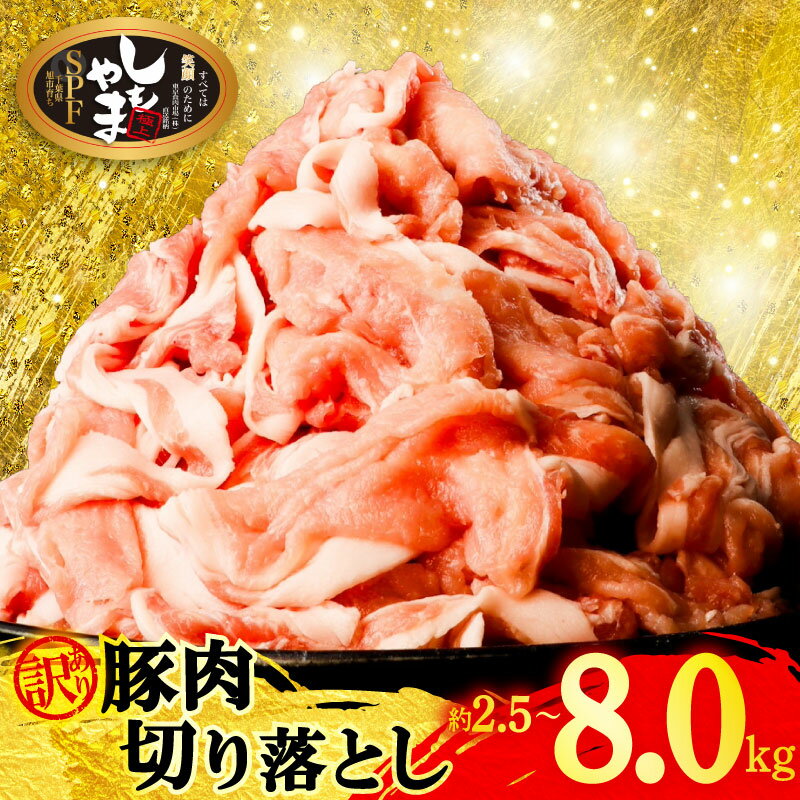 【ふるさと納税】 豚切り落とし 訳あり 約 2.5 kg / 約 5.5 kg / 約 8.0 kg 豚肉 切り落とし 小分け 250g 真空パック 国産 豚 肉 豚こま 豚こま肉 こま肉 豚小間 小間 buta ぶた niku 切落し 切り落し 送料無料 冷凍 SPF SPF豚 しもやまSPF 千葉県 旭市 有限会社 下山農場