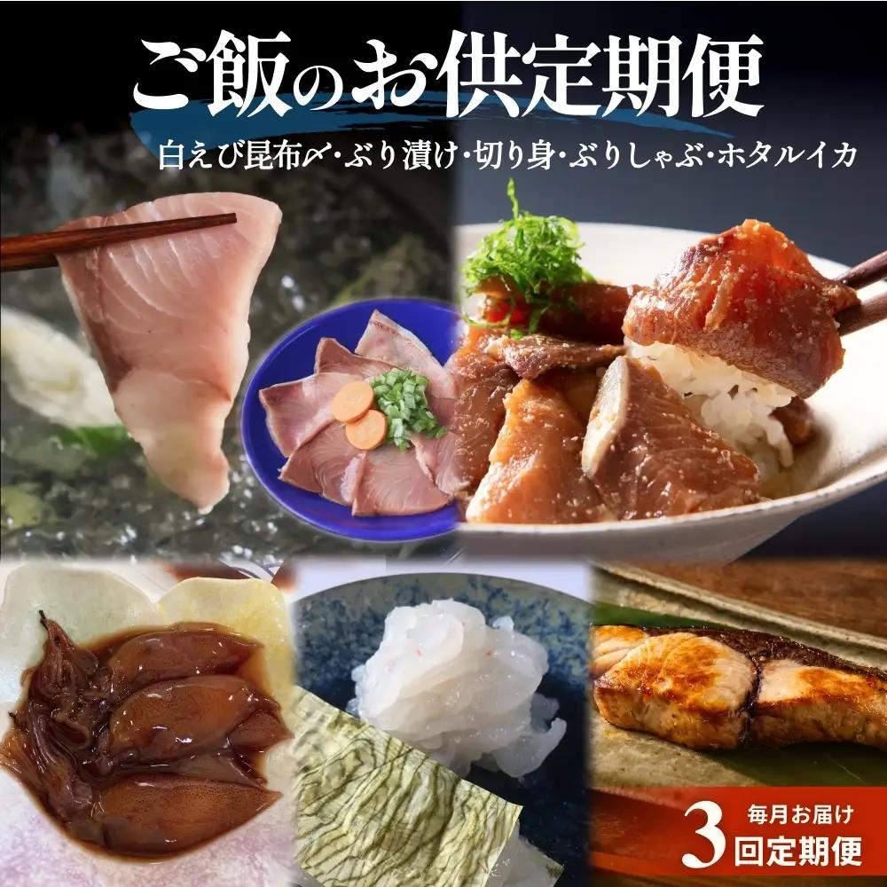 ＜3回定期便＞ご飯のお供定期便 富山県 氷見市 白エビぶり ほたるいか 冷凍 おかず