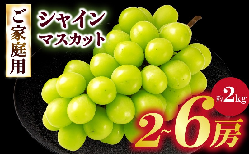 
                  ご家庭用シャインマスカット　約2kg | シャインマスカット マスカット ぶどう ブドウ 葡萄 果物 フルーツ 新鮮 くだもの 国産 ギフト お裾分け 旬 人気 種なし 皮ごと食べられる ジューシー 糖度が高い 季節限定 おすすめ 旬の果物 香川 香川県 三木町 ご家庭用 訳あり |_mk006-150
                