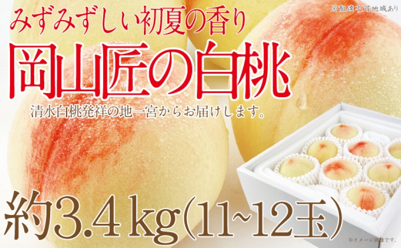もも 2025年 先行予約 岡山匠の白桃 約3.4kg 11～12玉 犬塚農園 岡山県産 白桃 桃 モモ ギフト 初夏 みずみずしい