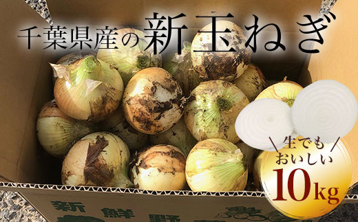 【先行予約:2027年5月以降発送】千葉県産 新玉ねぎ10kg 生でもおいしい！ AD001