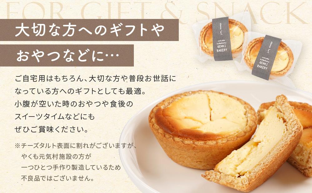 八雲チーズタルト　60g×18個入【 タルト  スイーツ デザート 洋菓子 食品 グルメ お取り寄せ 八雲町 北海道 】