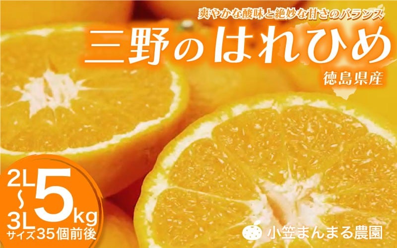 
            みかん はれひめ 5kg 先行予約 期間限定 徳島 三野 mikan 蜜柑 柑橘 ミカン 国産 数量限定 特産品 フルーツ 果物 柑橘 ジュース おやつ デザート おいしい 徳島県 三好市 みよし miyoshi 小笠まんまる農園 三野のはれひめ
          