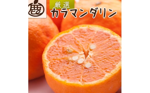 ＜4月より発送＞厳選 カラマンダリン5kg+150g（傷み補償分）◇【南津海・なつみ】【希少な春柑橘】【みかんと同じように食べられます】 ※北海道・沖縄・離島への配送不可 ※2025年4月上旬～5月下旬頃に順次発送予定