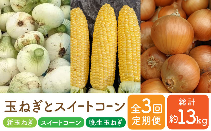 【先行予約】【全3回】農家直送！玉ねぎとスイートコーンの定期便【玉葱農家 陣内ちひろ】玉葱 玉ねぎ たまねぎ 新玉ねぎ 新玉葱 晩生 とうもろこし コーン [IAO015]