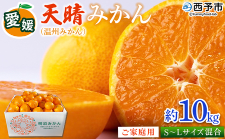 ＜愛媛県明浜産 笑丸みかん（温州みかん）約10kg S～L混合＞ 家庭用 訳あり ワケアリ 果物 くだもの フルーツ ミカン 柑橘 特産品 笑丸 愛媛県 西予市【常温】『2026年11月中旬～2027年1月上旬迄に順次出荷予定』AAN0022
