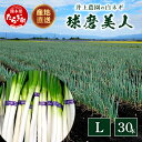 【ふるさと納税】【先行予約】井上農園の白ネギ 「球磨美人」 Lサイズ×30本 【2024年11月中旬より順次発送】 白ネギ 白葱 ネギ 長ネギ 長葱 ねぎ 鍋 薬味 串焼き すき焼き 冬野菜 国産 産地直送 送料無料 114-0502