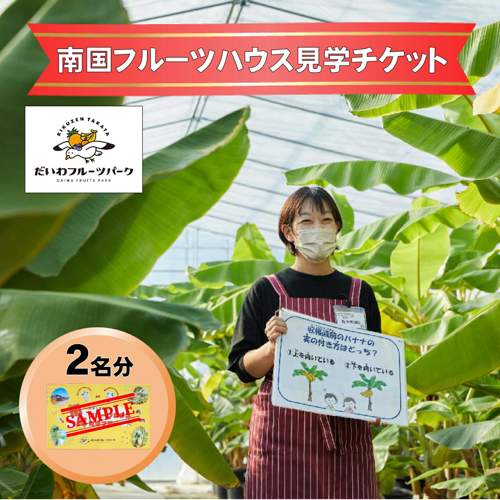 【ふるさと納税】 南国 フルーツハウス 見学 チケット 大人 2名様分 濃厚 スムージー 付き 【 フルーツ 体験 果物 】 だいわフルーツパーク気仙