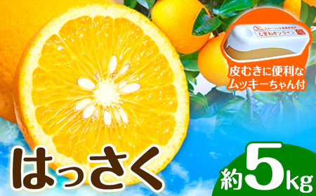 はっさく 皮むきに便利なムッキーちゃん付き 約5kg ときわオンライン【先行予約】