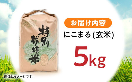 【R7年産】九州のこだわり「にこまる」玄米 5kg / 米 こめ お米 おこめ 玄米 げんまい にこまる ニコマル 長崎県産 / 諫早市 / 上島農産[AHAS013]