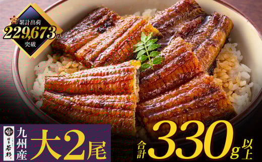 U61-71-04 国産うなぎ蒲焼大サイズ2尾 <計330g以上> 鰻蒲焼用タレ・山椒付 うなぎ生産量日本一鹿児島県産 宮崎県産 熊本県産 九州産 国産鰻 うなぎ ウナギ 鰻 人気 おすすめ ひつまぶし 鰻 蒲焼き タレ 山椒 ランキング 鰻 冷凍 うな重 ひつまぶし うなぎ 福智町 鰻蒲焼き うな丼 丑の日