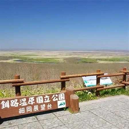 観光タクシー　釧路町側からみる釧路湿原【2時間コース】利用券1枚(定員4名分)_チケット 体験 体験型 アウトドア 観光 旅行 北海道 釧路町 釧路超 特産品 _【1085246】