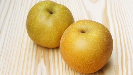 【先行予約】【9月中旬頃～発送予定】豊水 約5kg （ 10 ～ 14 玉 ） | 果物 くだもの フルーツ 梨 なし ナシ 長野県 塩尻市