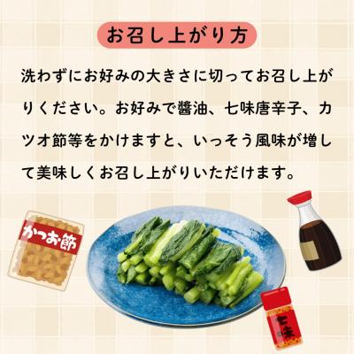 ふるさと納税 飯山市 野沢菜漬　タル 1kg |  | 01