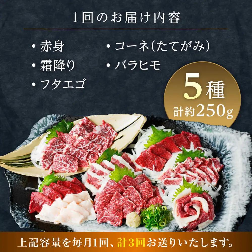 【全3回定期便】馬刺し 5種 盛り合わせセット 5人前 約250g 馬刺し[AYAT023]