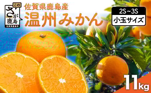 
            佐賀県鹿島産 温州みかん 小玉 約11kg【11月上旬頃から12月下旬頃の配送予定】 みかん 蜜柑 ミカン 柑橘 くだもの 果物 フルーツ ふるさと納税 佐賀県 鹿島市 B-279
          