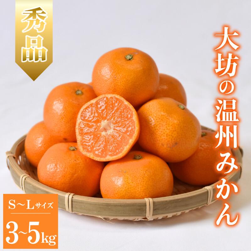 【ふるさと納税】 【予約】大坊の温州みかん 3kg～5kg Sサイズ Mサイズ Lサイズ ※2024年11月中旬～12月下旬頃に順次発送予定【期間限定・数量限定】 / みかん 蜜柑 大坊みかん 甘い 3キロ 5キロ お取り寄せ 産地直送 贈答品 ギフト 果物 くだもの フルーツ 田辺市 和歌山県