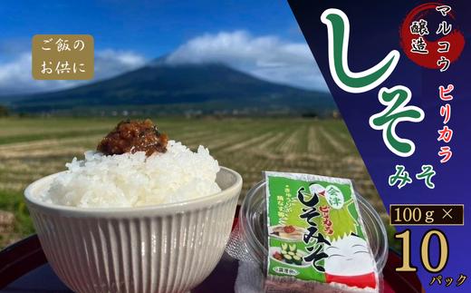 ご飯や野菜のお供に!会津のピリカラしそみそ100g×10パック入り【1715087】