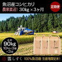 【ふるさと納税】【令和6年産】定期便！魚沼産コシヒカリ【合計90kg】毎月30kg×3回　定期便・ お米 ブランド米 銘柄米 精米 白米 ご飯 おにぎり お弁当 和食 産地直送 　お届け：ご入金確認の翌月以降、発送いたします。