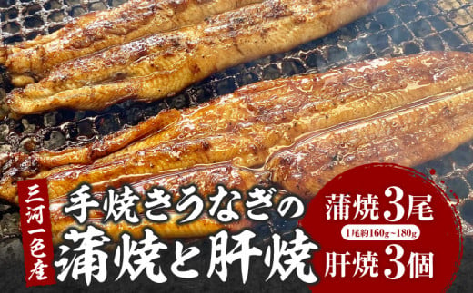 三河一色産手焼きうなぎの蒲焼と肝焼【蒲焼パック冷凍×3尾、肝焼×3個】・M099