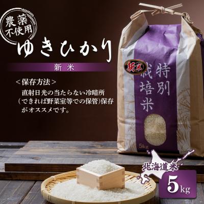 ふるさと納税 羽幌町 【2025年産】 北海道産 ゆきひかり 5kg(栽培期間中、無化学肥料・農薬不使用)【25108】 |  | 03