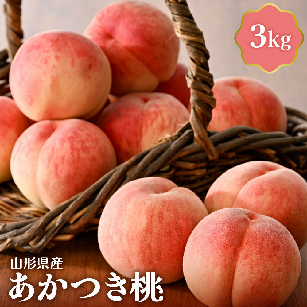 【ふるさと納税】【令和7年産】 桃 あかつき 3kg 白桃 国産 山形 モモ もも ピーチ フルーツ 果物 果肉 青果 冷蔵便 産地直送 お取り寄せ グルメ 送料無料 東北 山形県 河北町 【JAさがえ西村山】