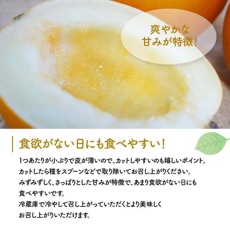 【2026年発送】完熟！イエローキングメロン 5kg以上(5玉～6玉)　H141-017