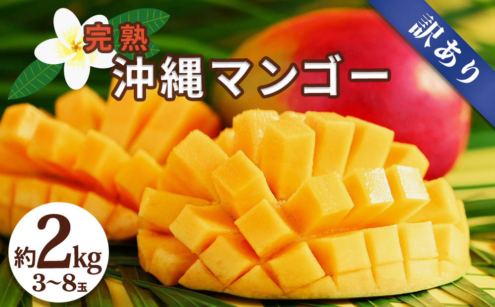 沖縄県産 訳ありマンゴー 2kg【 先行予約 2026年発送 】マンゴー 濃厚 甘い ジューシー 南国 フルーツ 果物 産地直送 訳あり 国産 お取り寄せ 沖縄 うるま市