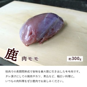 ジビエ 鹿肉 お試しセット 合計1kg ： ロース約200g モモ約300g ミンチ500g 