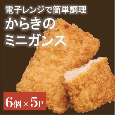 ふるさと納税 伊予市 【からき天ぷら店】がんす(ミニ) 30個 | B176