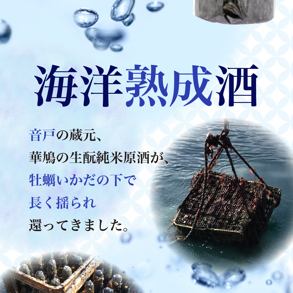 華鳩 海洋熟成酒 瀬戸の龍宮 火入れ純米原酒