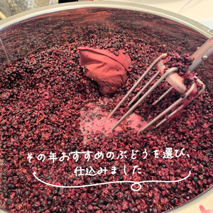 -大船渡で造るワイン- メルロ 赤ワイン 辛口 750ml スリーピークスワイナリー 【ボルドーﾜｲﾝ 国産ﾜｲﾝ 大船渡ﾜｲﾝ  辛口ワインﾜｲﾝ ﾜｲﾝセット ギフト 贈答品ﾜｲﾝ ﾜｲﾝ 贈り物