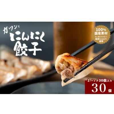 ふるさと納税 海津市 岐阜県海津市産　栄養価満載!臭い残り少ない!発芽にんにく使用　「ガツンとにんにく餃子」1パック |  | 01